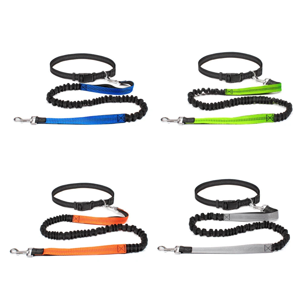 Hands-Free Running Leash with Waist Belt - close-up of adjustable waist belt