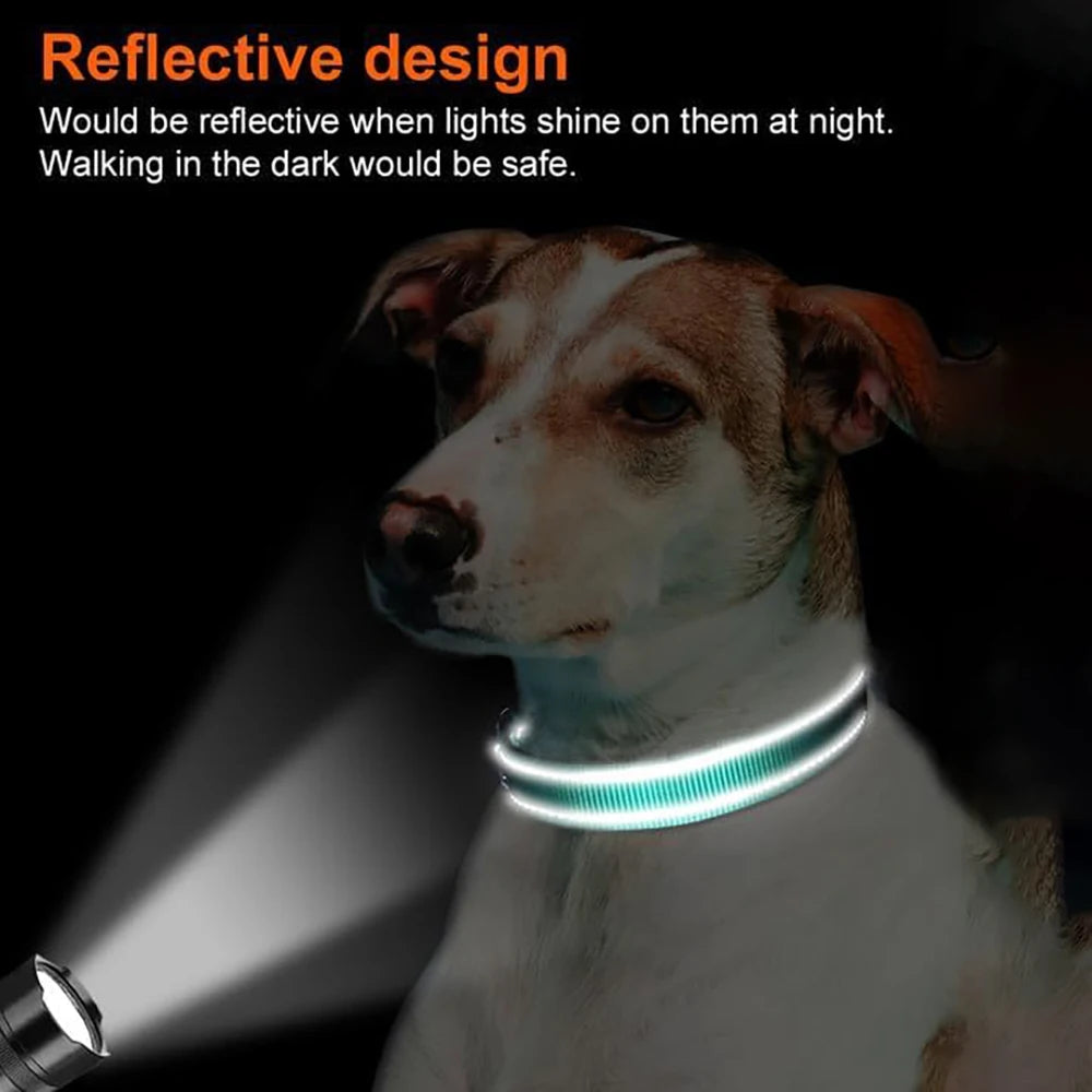 AirTag Compatible Dog Collar - product detail view