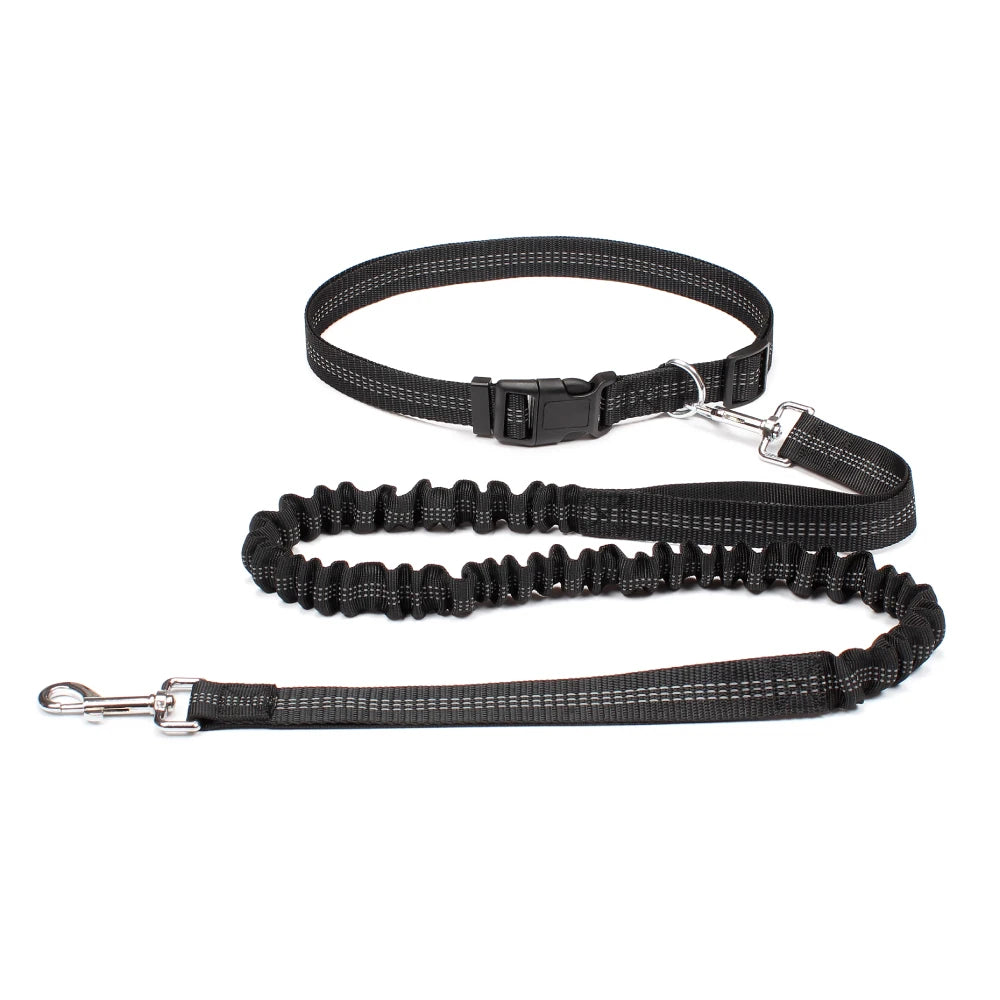 Hands-Free Running Leash with Waist Belt for Dogs