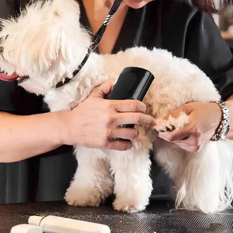 Professional Pet Deshedding Brush – Ergonomic Groom Tool