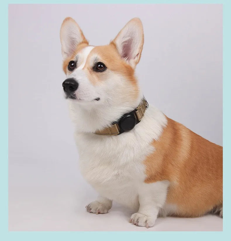 Reflective Adjustable Dog Collar – AirTag Compatible