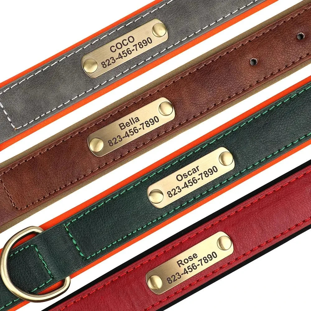 Personalized Leather ID Collar - dog wearing engraved leather collar
