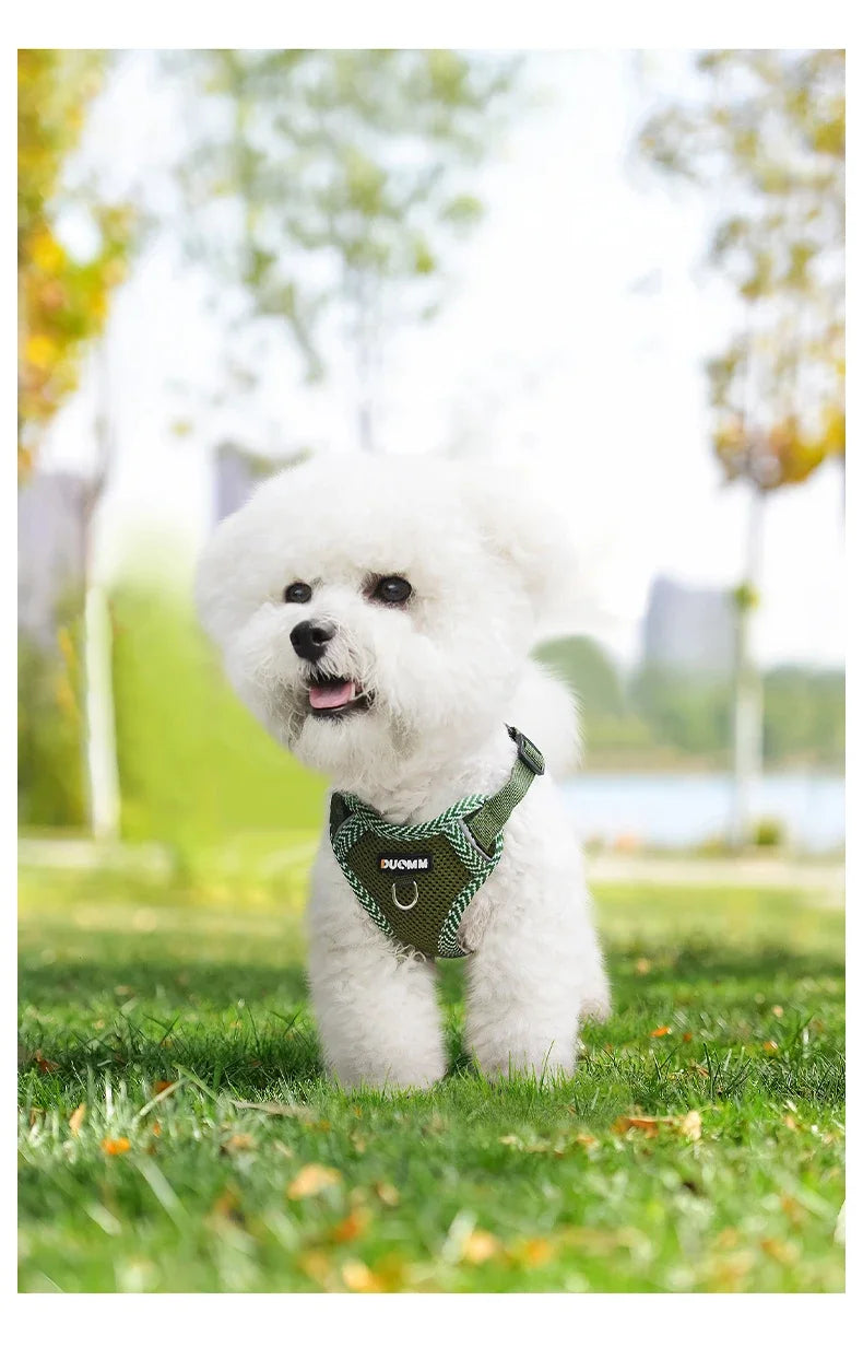 Reflective Harness & Leash Set for Small Dogs