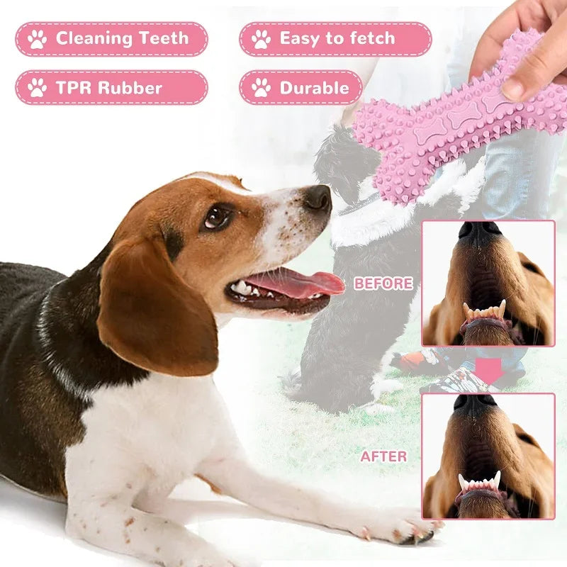 Rubber Bone & Treat Ball Chew Toy Set for Small Dogs