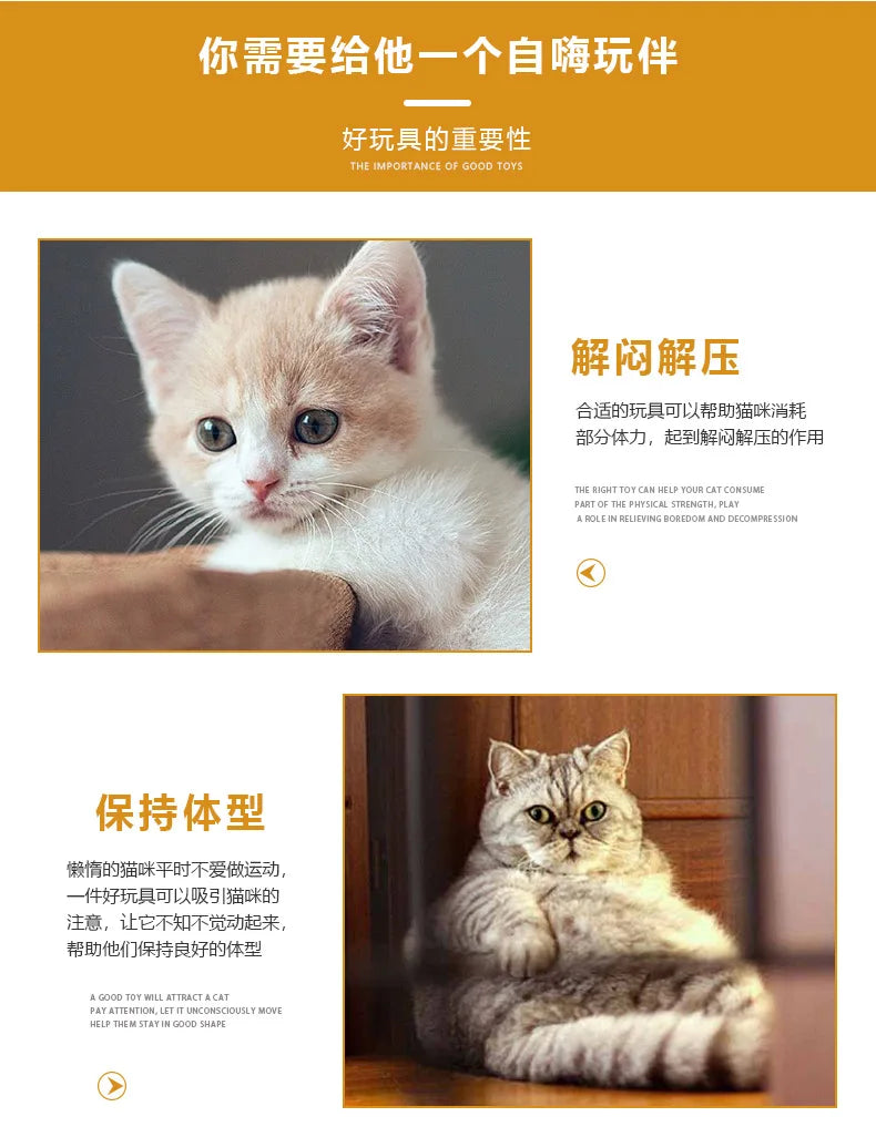 Coil Spring Cat Toy - product detail view