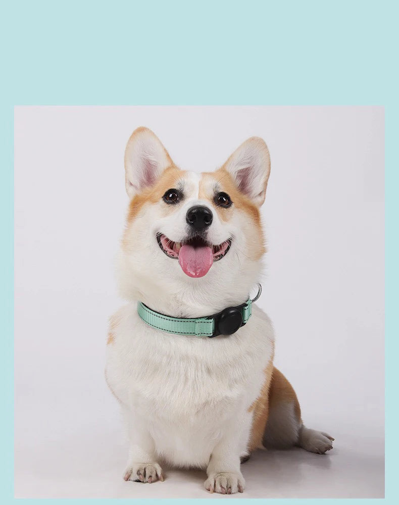 AirTag Compatible Dog Collar - product detail view