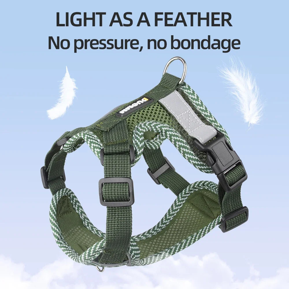 Reflective Harness & Leash Set for Small Dogs