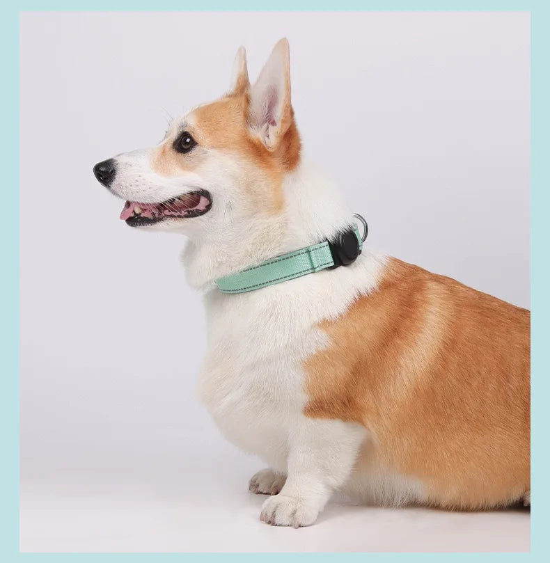 Reflective Adjustable Dog Collar – AirTag Compatible