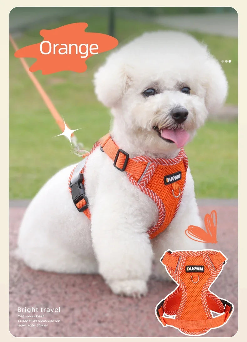 Reflective Harness & Leash Set for Small Dogs