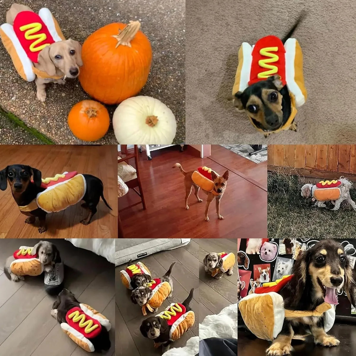 Hotdog Costume for Dogs & Cats - product detail view