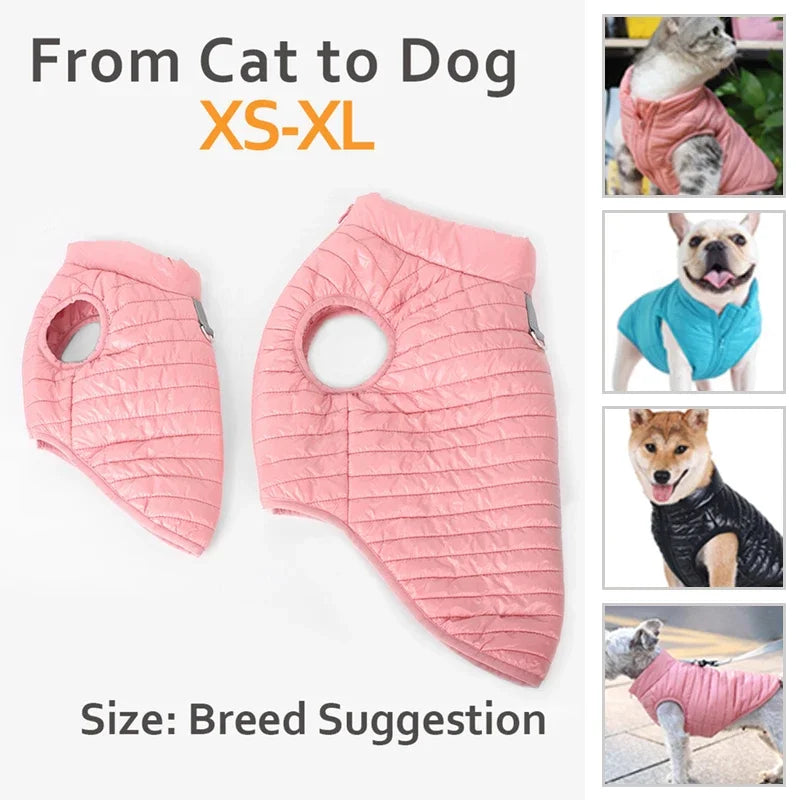 Padded Winter Dog Coat - product detail view