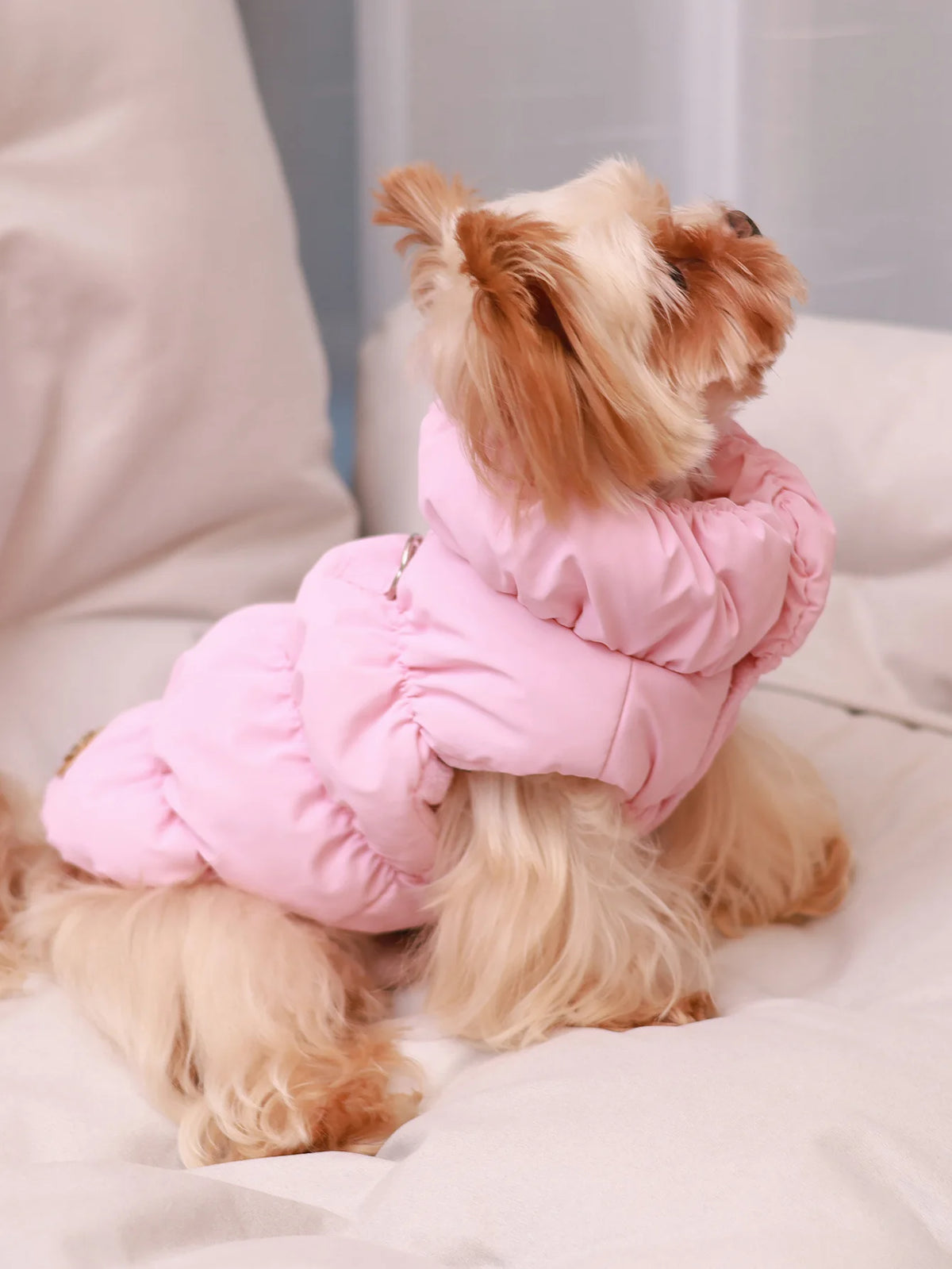3-Layer Thick Dog Coat - main product photo
